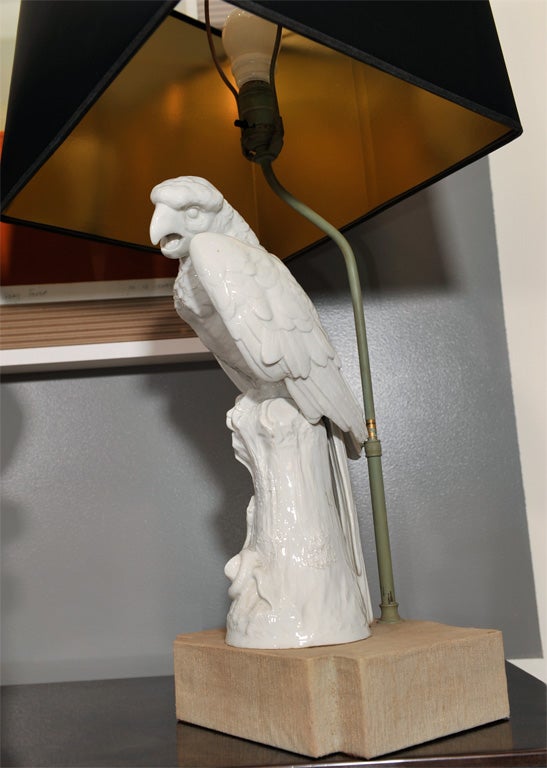 Pair of Meissen Style Parrot Figures Mounted as Lamps 4