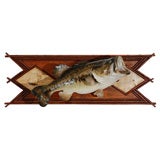 VINTAGE WIDE MOUTH BASS MOUNTED ON BIRCH BARK TWIG FRAME