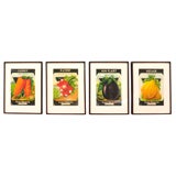 Set of 4 Framed Vintage Seed Packet Prints