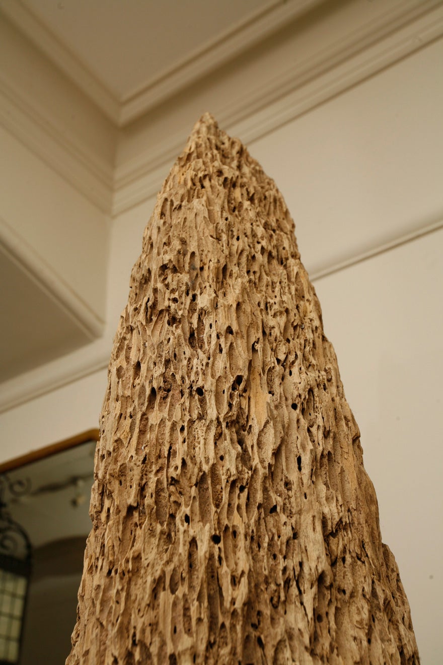 A large 'Mussel pole' For Sale 2