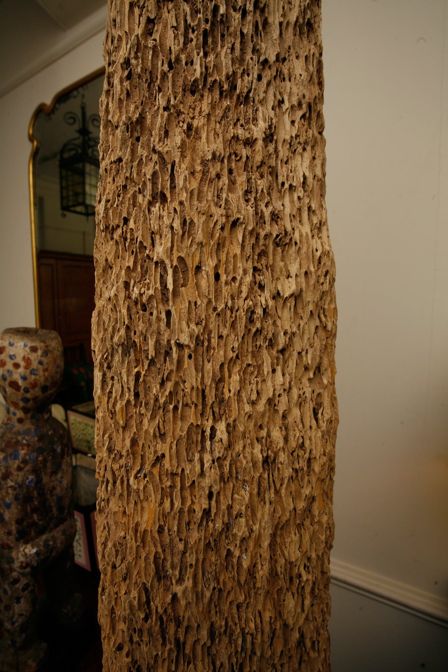 A large 'Mussel pole' For Sale 3