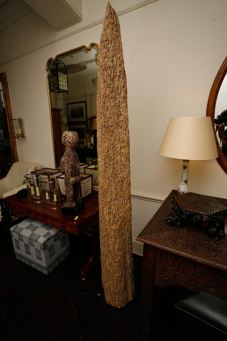 A large 'Mussel pole' For Sale 5