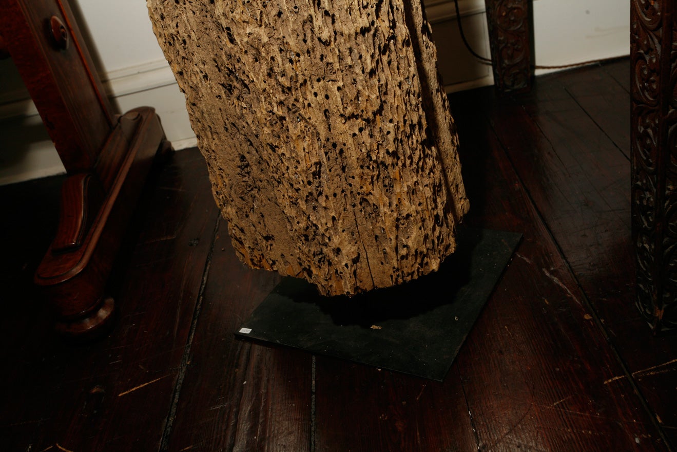 A large 'Mussel pole' For Sale 6