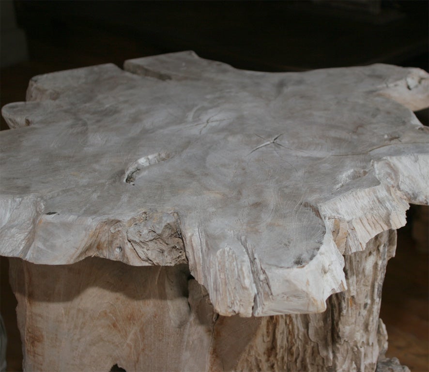 French Natural Tree Trunk Side Table