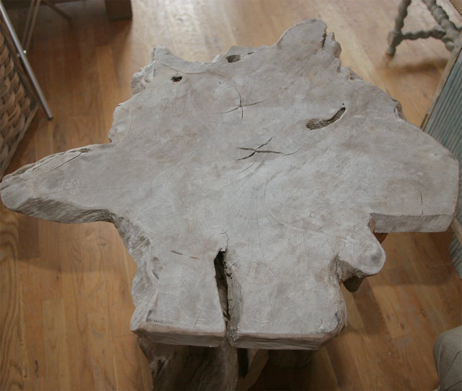 Natural Tree Trunk Side Table 2