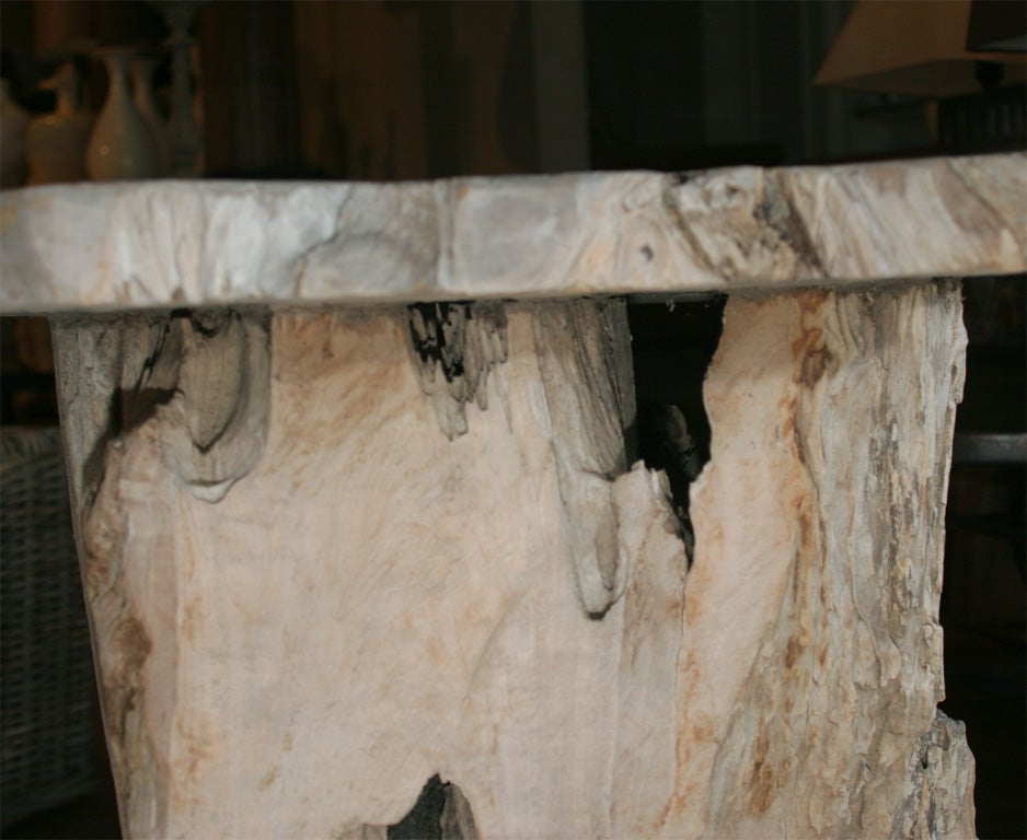 Natural Tree Trunk Side Table 5
