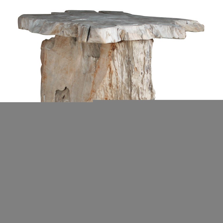 Natural Tree Trunk Side Table