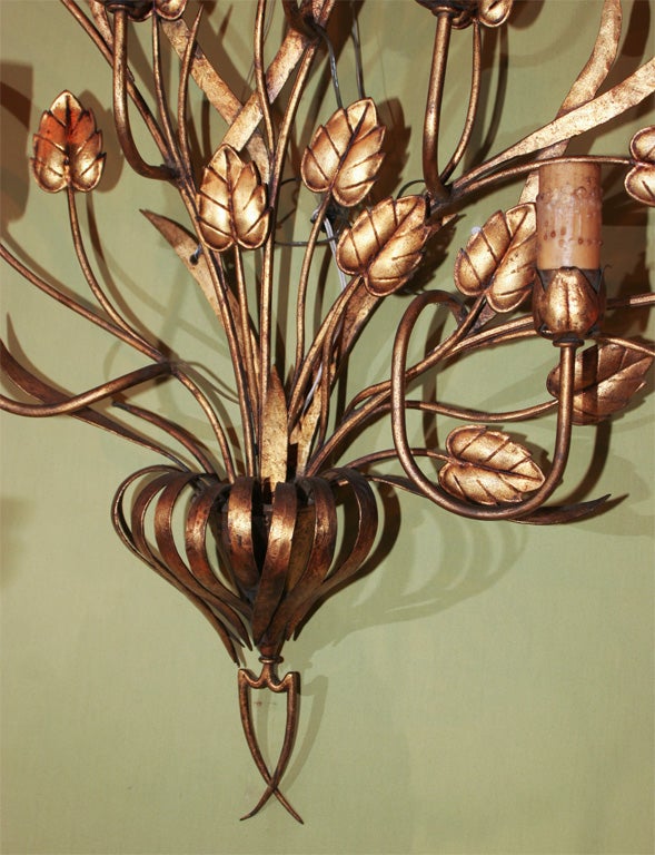 French Large Gilt Metal Floral Motif Sconce For Sale