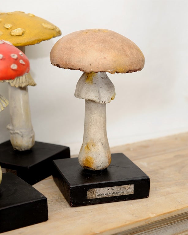 Folk Art Painted Wood/Ceramic Wild Mushrooms priced individually