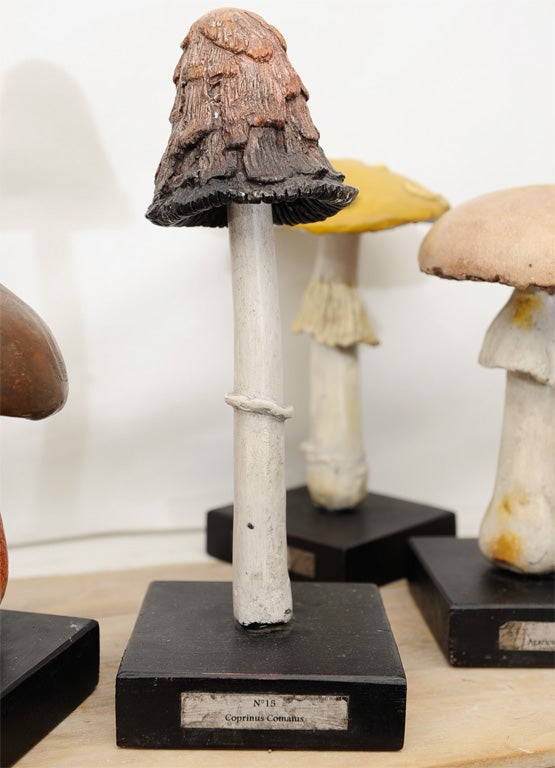 20th Century Painted Wood/Ceramic Wild Mushrooms priced individually