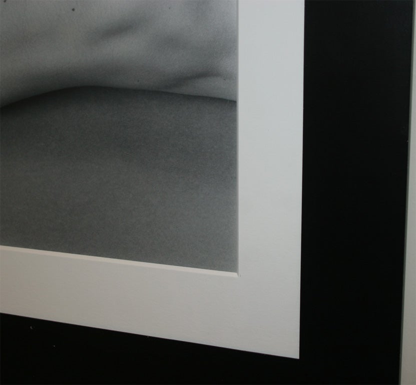 Robert Mapplethorpe Photograph