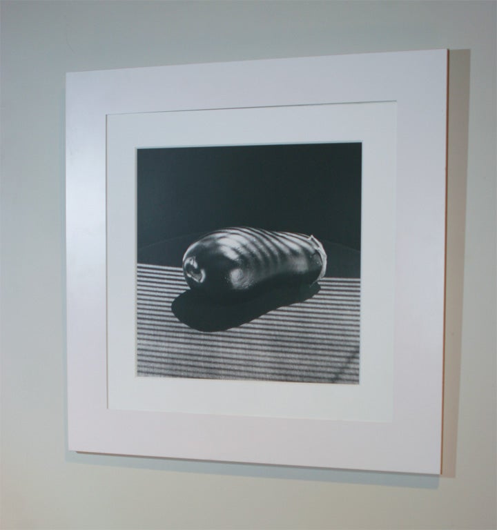 Robert Mapplethorpe Photograph