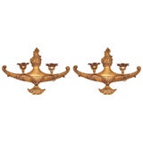 Vintage Large Pair of  Carved Giltwood and Wrought Iron Sconces