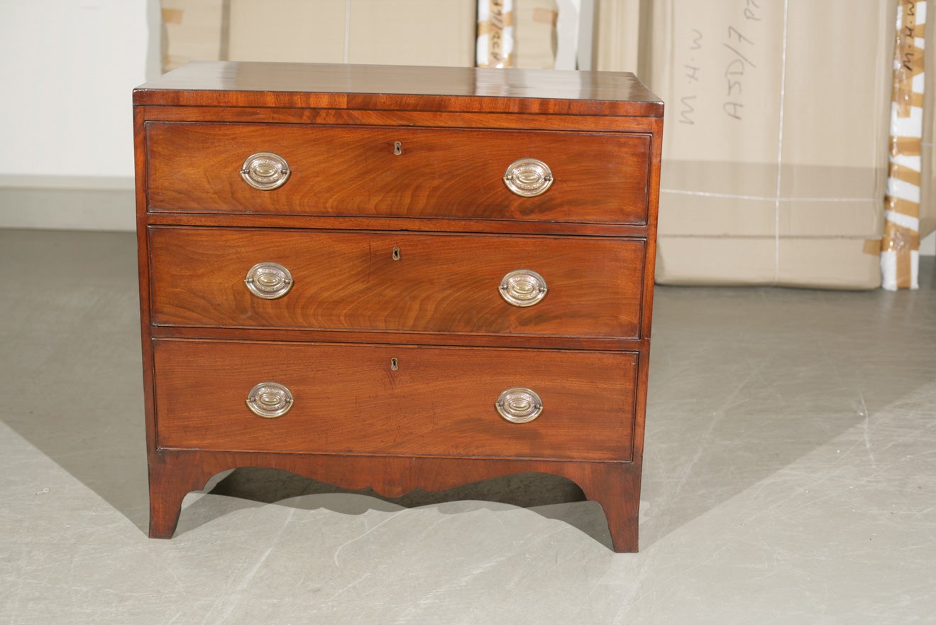 Three-drawer, English, mahogany caddy top chest with scalloped apron and slightly splayed feet; oval brasses.
