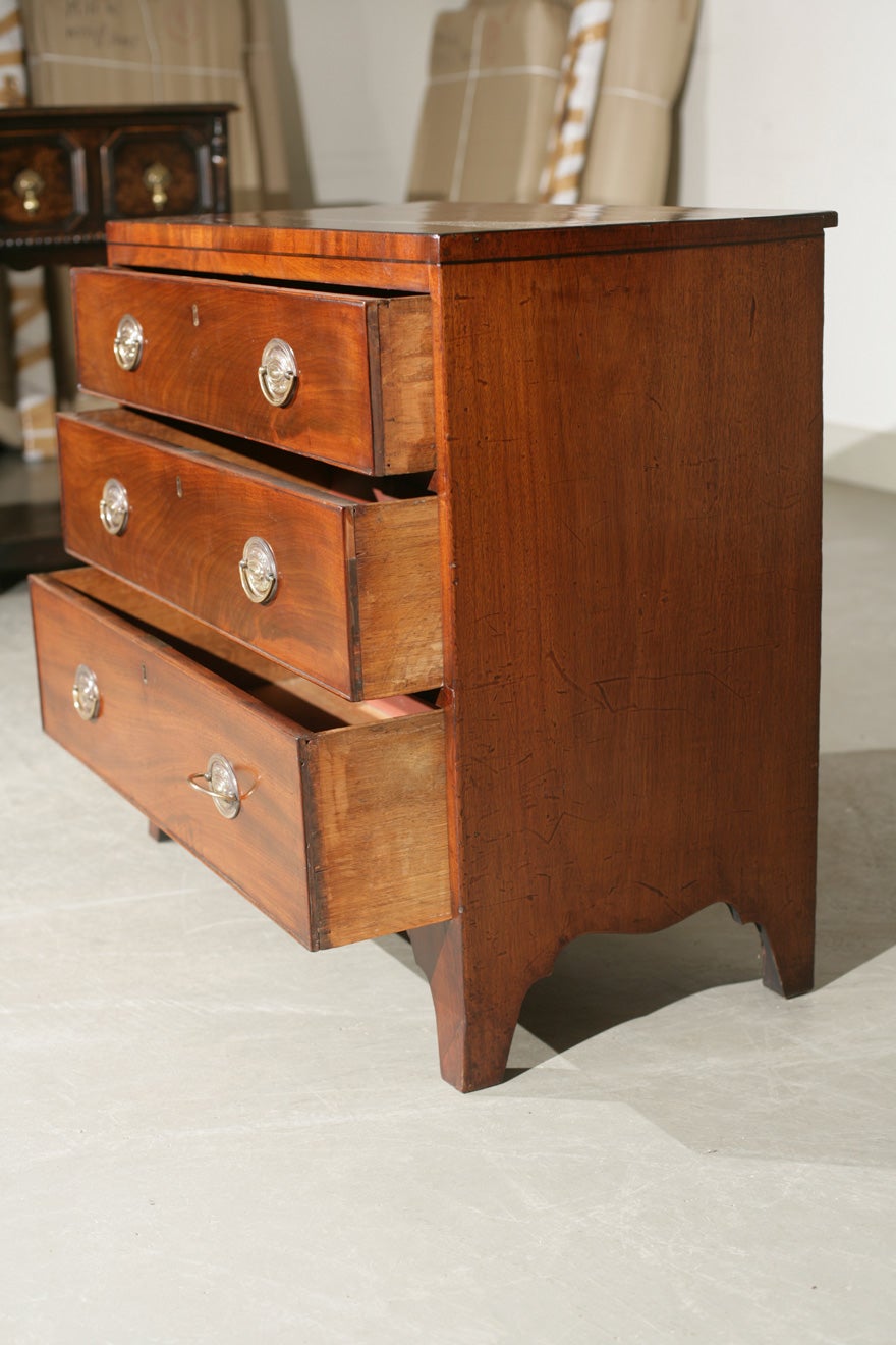 19th Century Caddy Top Bachelor's Chest of Drawers For Sale