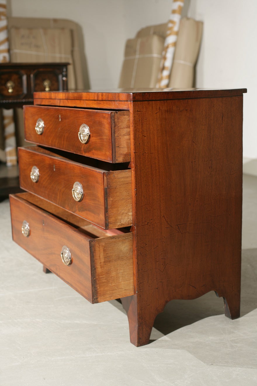 Mahogany Caddy Top Bachelor's Chest of Drawers For Sale