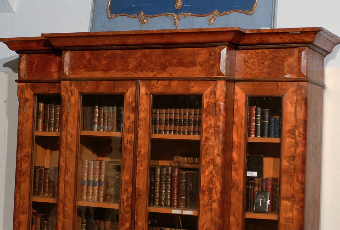 19th Century Swedish Library Cabinet