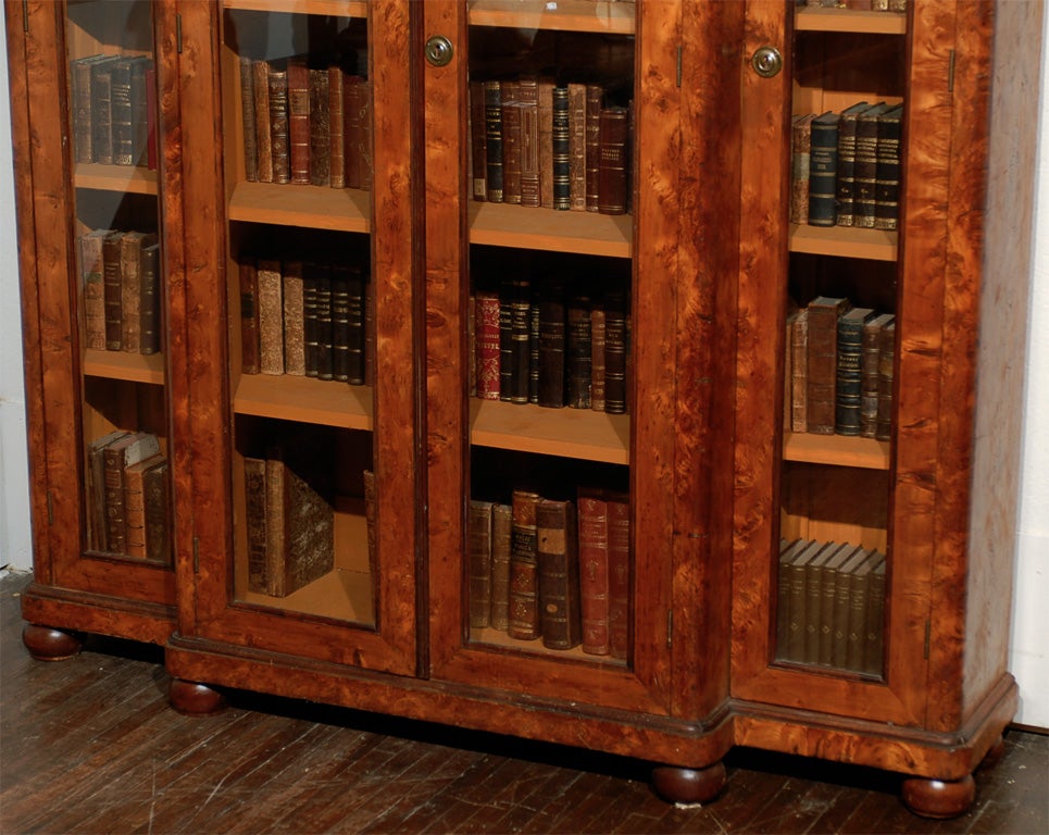 Swedish Library Cabinet 2