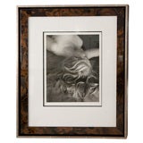 Framed Silver Print from Original Negative by Imogen Cunningham 3