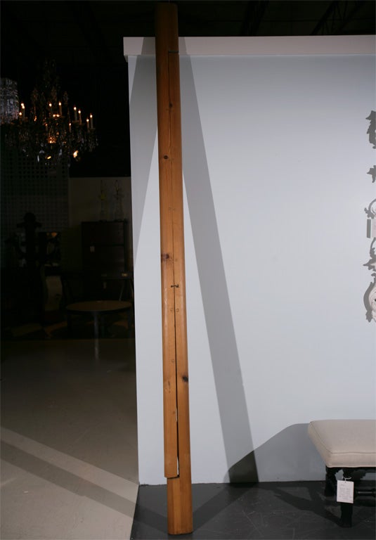 ladder that folds into a pole