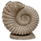Larger Vintage Nautilus Shell  Sculpture/Planter