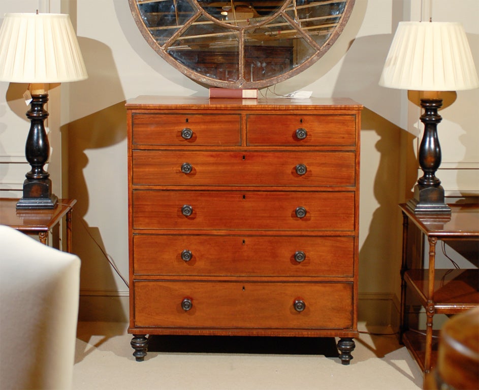 Satinwood Chest with Spooled Feet