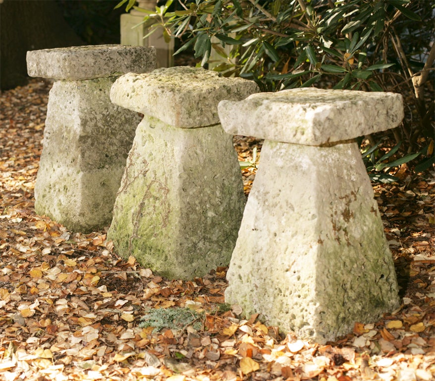 English 19th Century Staddle Stones