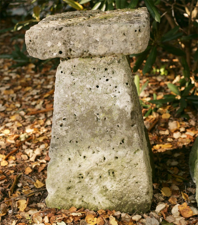 Carved 19th Century Staddle Stones