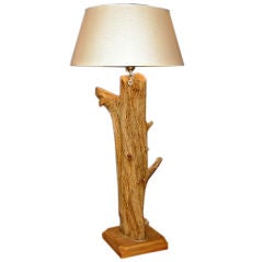 Unusual Driftwood Table Lamp