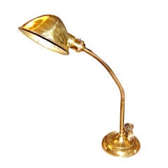 Brass Goose Neck Lamp