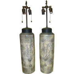 Pair of 1960's FrenchBotanical leaded Jars with lamp Application
