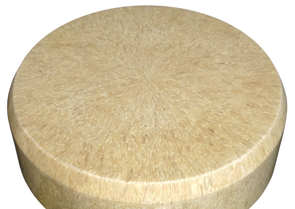 Round Coffee Table in Resin and Bone by Enrique Garcel