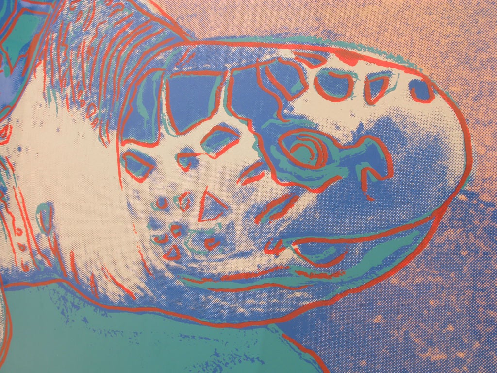 Turtle by Andy Warhol, FS II.360A screenprint on Lenox Museum Board printed by Rupert Jasen Smith in 1985, signed 