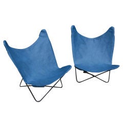 Child Size Ferrari-Hardoy "Butterfly" Chairs in Blue Leather