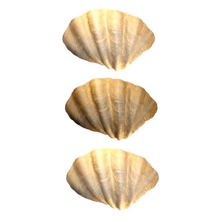 Set of 2 Wall-hanging Shell Sculptures/Sconces by Tony Duquette For Sale