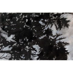 Charcoal Drawing by Risa Glickman