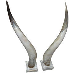 PAIR OF TABLE TOP MOUNTED HORNS