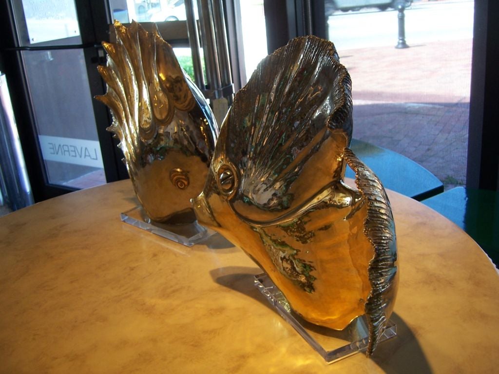 Italian P. GRANCHI Oversized Glazed Ceramic Fish on Lucite Bases