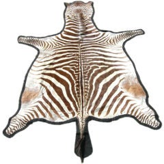 Mounted Zebra Hide Rug