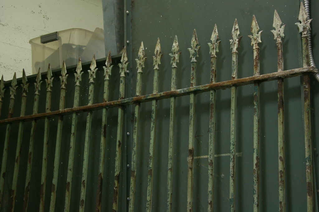 Neoclassical 19th Century Iron Fencing