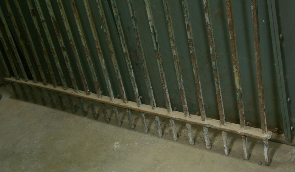 French 19th Century Iron Fencing