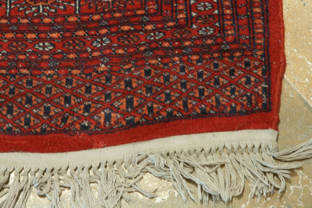 Other ON SALE Late 20th Century Oriental Rug Hand-Knotted For Sale