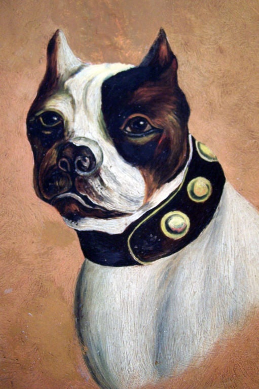 Charming oil painting of a Boston Terrier? wearing a Bull Dog collar. Painted on a papier mache circular plate.