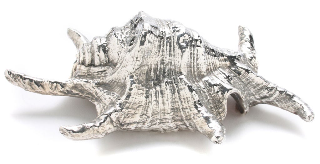 Federico and Mario Buccellati Silvered Shells 2