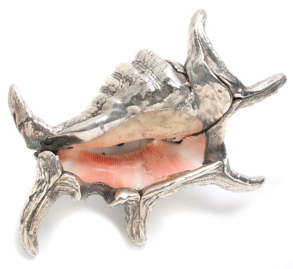 Federico and Mario Buccellati Silvered Shells 3