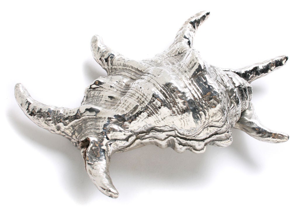 Federico and Mario Buccellati Silvered Shells 4