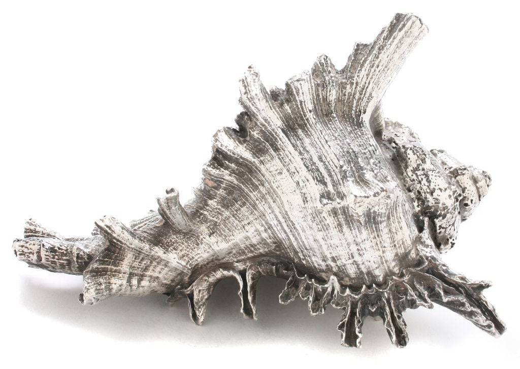 Federico and Mario Buccellati Silvered Shells 1