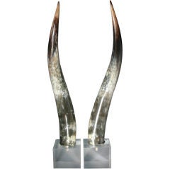 Pair of Tall Mounted Horns on Lucite