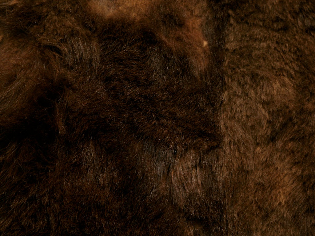 c.1900 Antique American Bear Skin Sleigh/Carriage Blanket 4