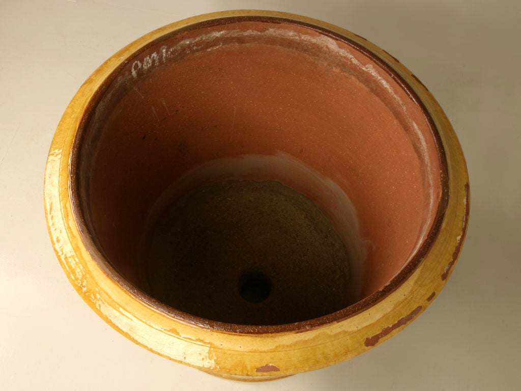 Very Large French Palatial Scaled Anduze Pot